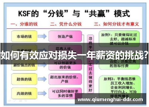如何有效应对损失一年薪资的挑战？